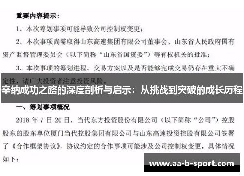 辛纳成功之路的深度剖析与启示：从挑战到突破的成长历程