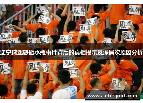 辽宁球迷怒砸水瓶事件背后的真相揭示及深层次原因分析
